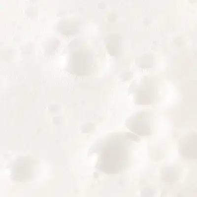 Argan Oil Hair Shampoo