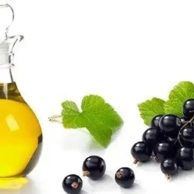 Black Currant Flavor Oil, bulk cosmetic raw material