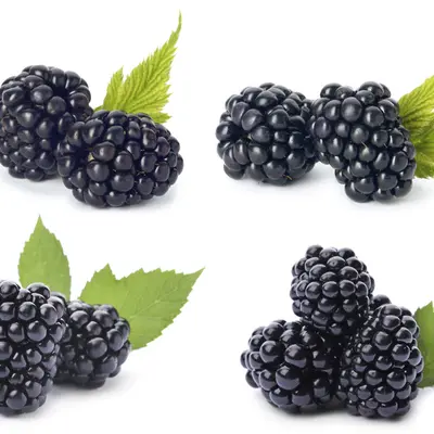 Blackberry Flavor Oil, bulk cosmetic raw material