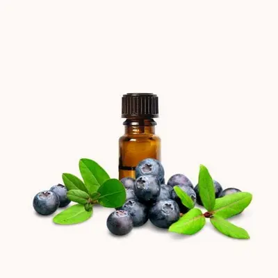Blueberry Flavor Oil, bulk cosmetic raw material