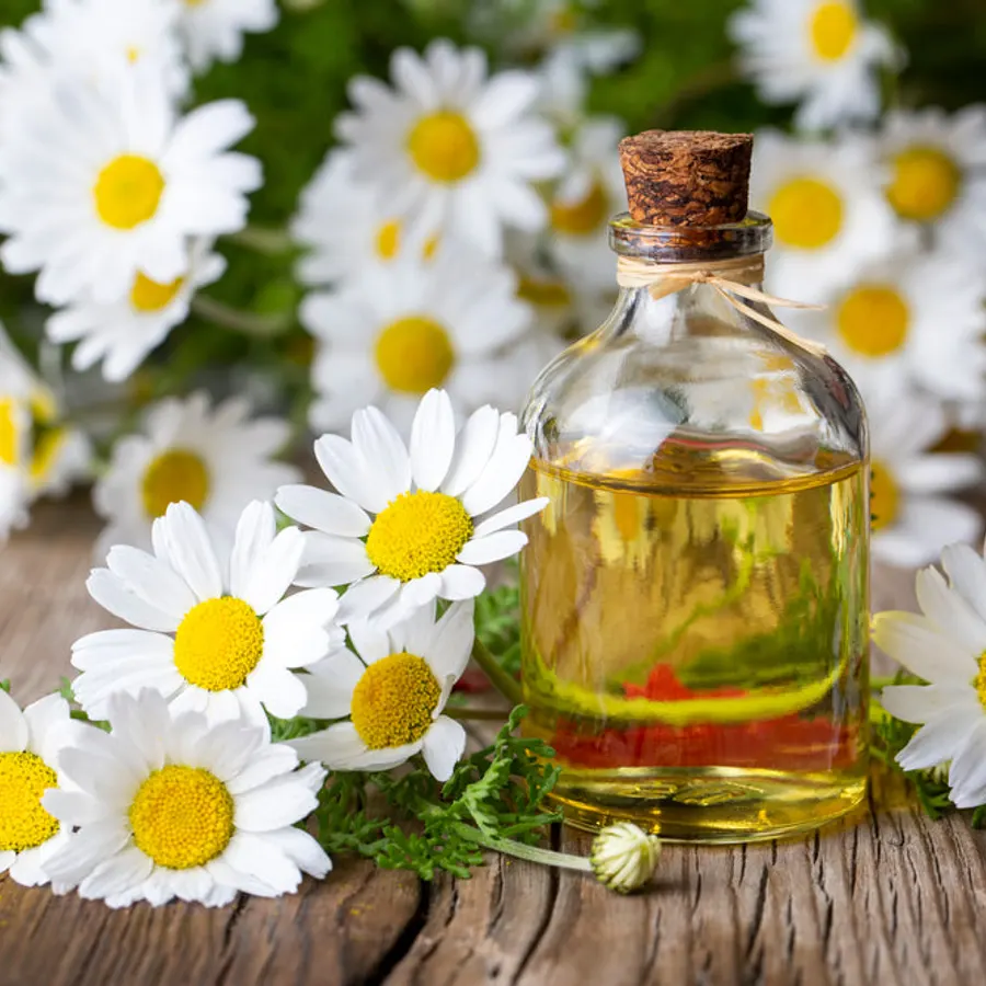 Chamomile Flavor Oil, bulk cosmetic raw material