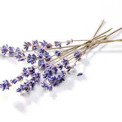 Dried Lavender Flower, bulk cosmetic raw material