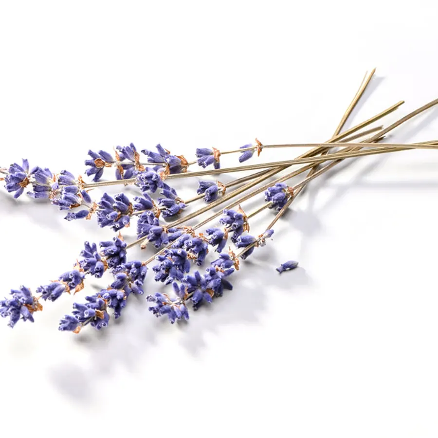 Dried Lavender Flower, bulk cosmetic raw material