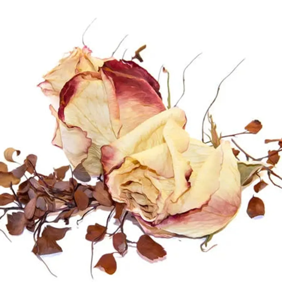 Dried Rose Flower, bulk cosmetic raw material