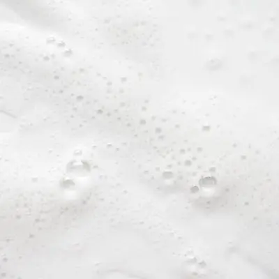 Eucalyptus Dog Shampoo