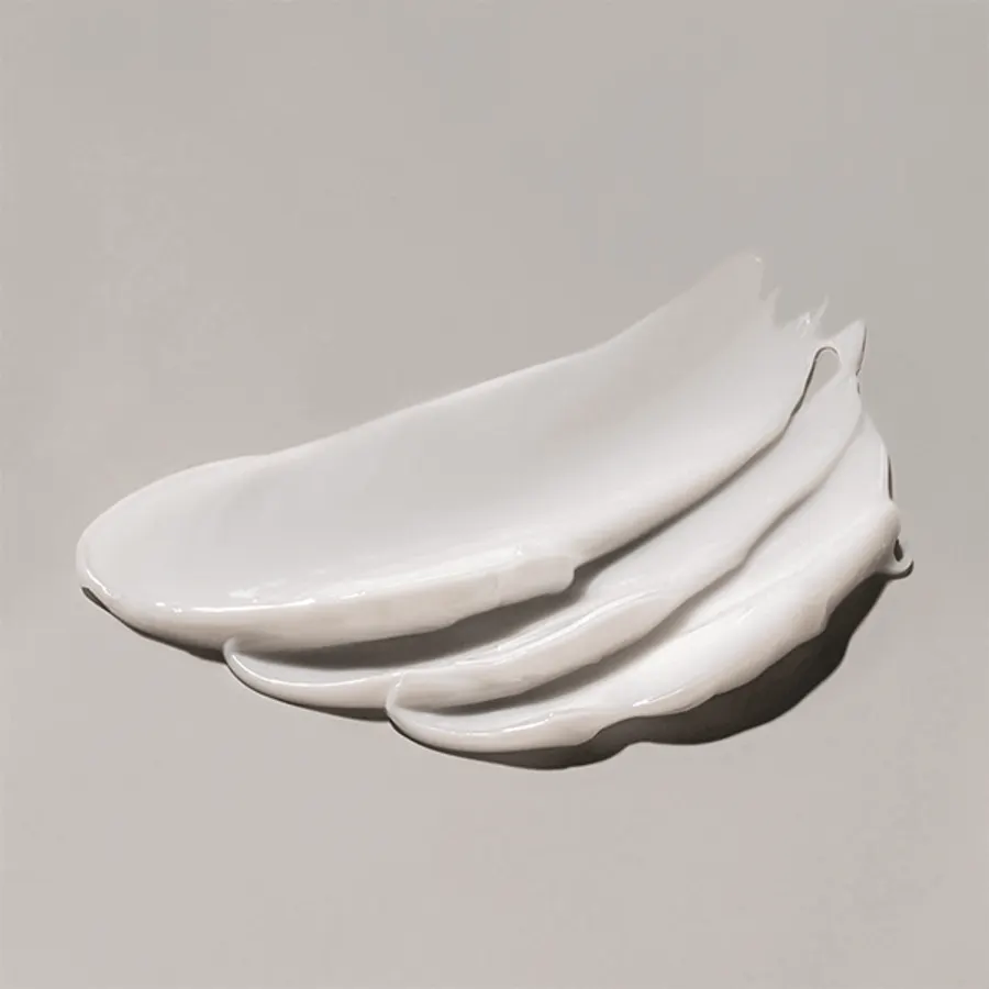 Fermented Soybean Moisturizer With Ceramide