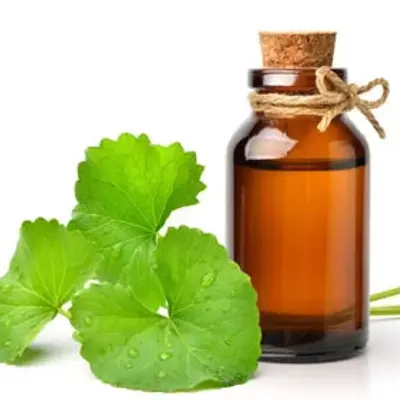 Gotu Kola Liquid Extract, bulk cosmetic raw material