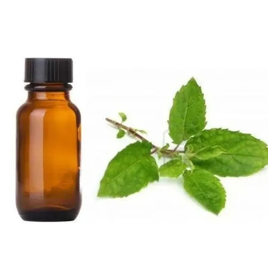 Green Tea Liquid Extract, bulk cosmetic raw material