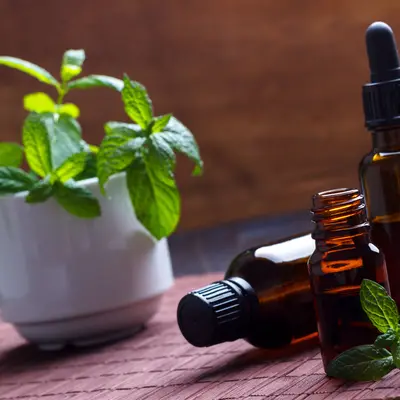Holy Basil (Tulsi) Liquid Extract, bulk cosmetic raw material