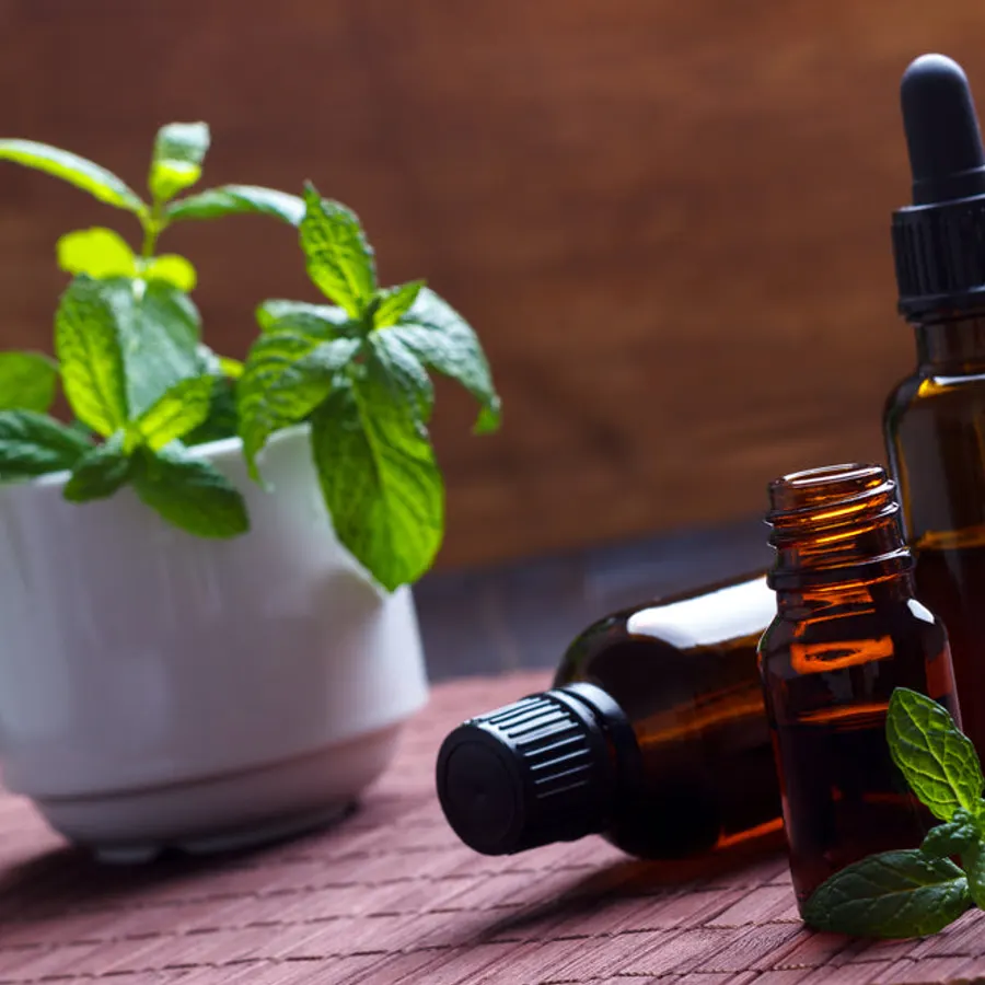 Holy Basil (Tulsi) Liquid Extract, bulk cosmetic raw material