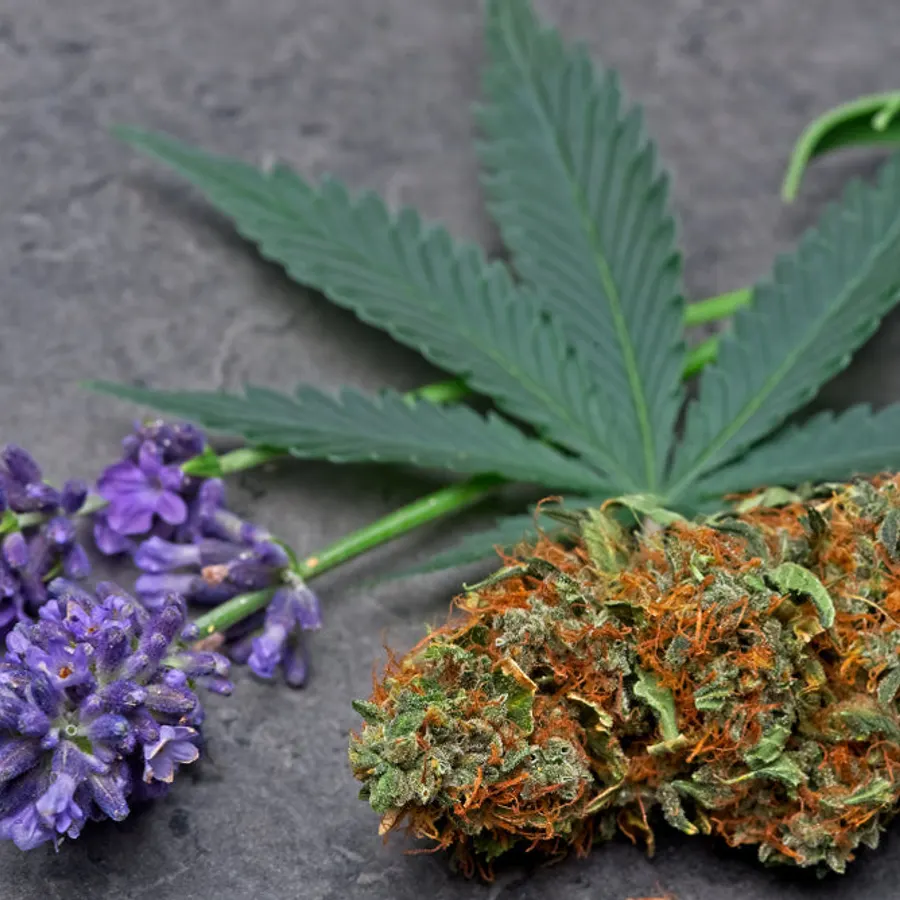 Linalool, bulk cosmetic raw material