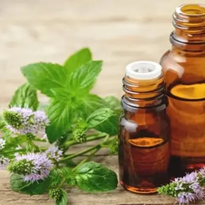 Menthol Flavor Oil, bulk cosmetic raw material