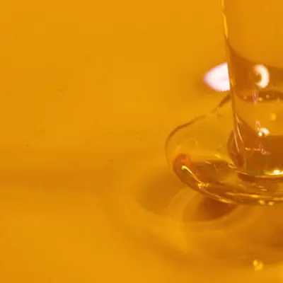 Moroccan Argan Treatment Hair Oil