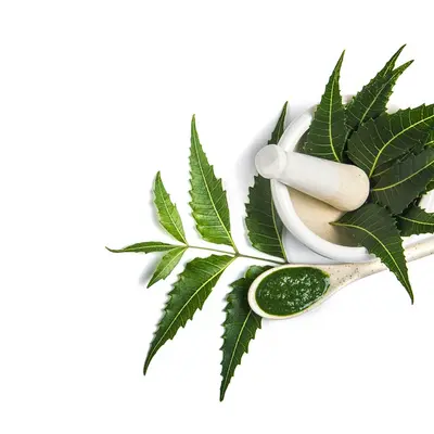 Neem Leaf Liquid Extract, bulk cosmetic raw material