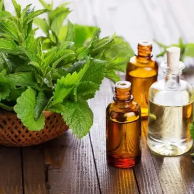 Peppermint Flavor Oil, bulk cosmetic raw material