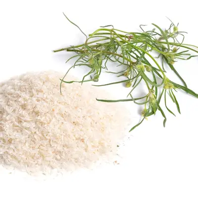 Psyllium Husk Powder, bulk cosmetic raw material