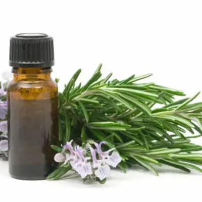 Rosemary Oleoresins, bulk cosmetic raw material