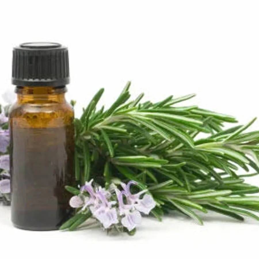 Rosemary Oleoresins, bulk cosmetic raw material