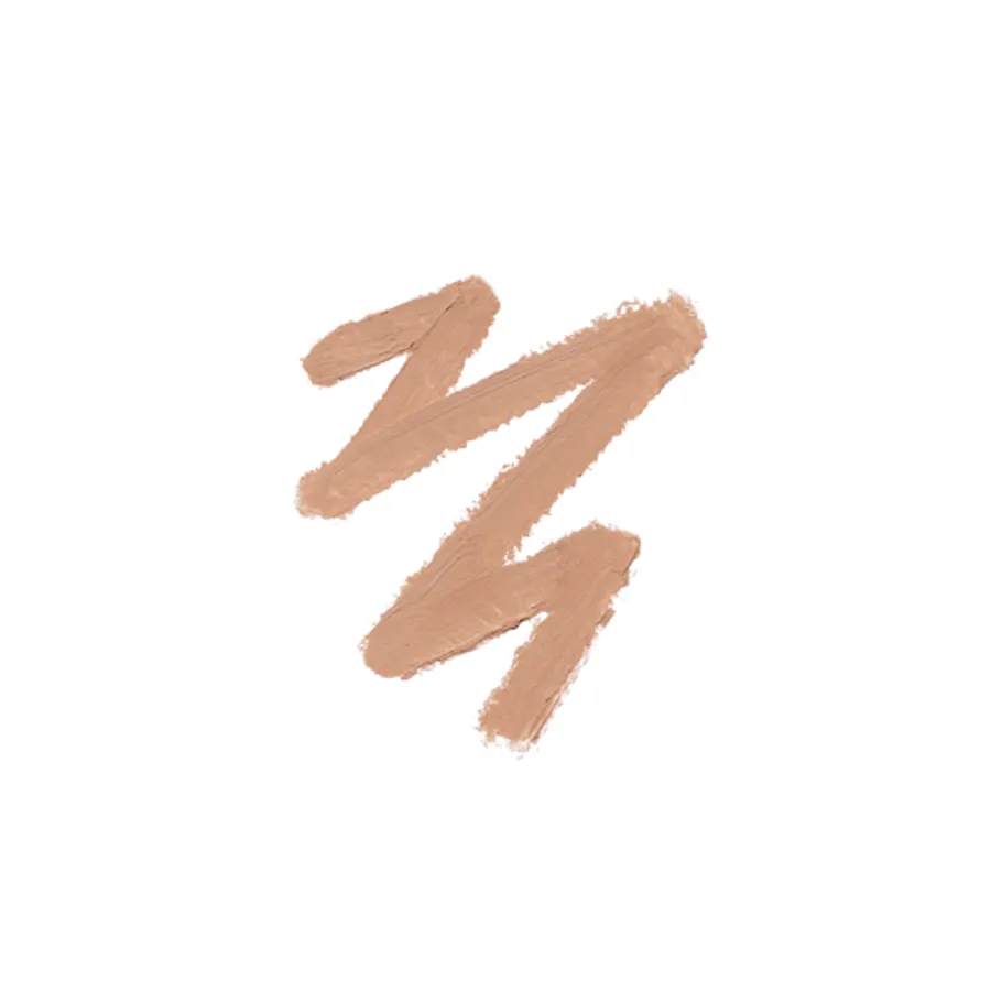 Touch Up Conceal