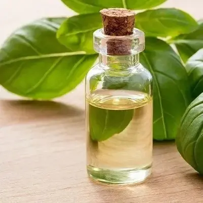 Tulsi Flavor Oil ( Holy Basil Flavoured Oil), bulk cosmetic raw material