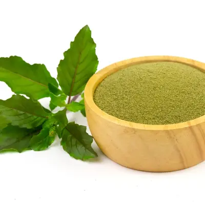 Tulsi Powder, bulk cosmetic raw material