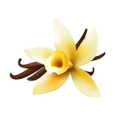 Vanilla Flavor Oil, bulk cosmetic raw material
