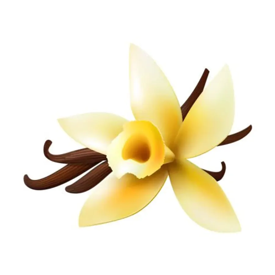 Vanilla Flavor Oil, bulk cosmetic raw material